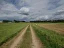 dazu-dzialka-w-otulinie-puszczy-knyszynskiej-z-wz-96bd27-zdjecie-3