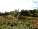 dazu-dzialka-z-wz-w-wyjatkowo-atrakcyjnej-lokalizacji-7a33c0-zdjecie-3