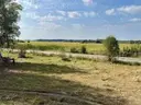 dazu-dzialka-budowlana-1425-m2-rafalowka-443baf-zdjecie-2