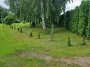 dazu-zadbane-siedlisko-z-budynkami-gospodarczymi-7400m2-c6e996-zdjecie-30