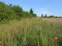 dazu-dzialka-budowlana-1530m2-z-wz-b35bc7-zdjecie-5
