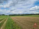 dazu-dzialka-w-otulinie-puszczy-knyszynskiej-z-wz-96bd27