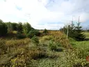 dazu-dzialka-z-wz-w-wyjatkowo-atrakcyjnej-lokalizacji-7a33c0-zdjecie-4