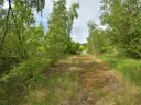 dazu-dzialka-przemyslowa-walbrzych-pod-inwestycje-f82973-zdjecie-11