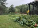 dazu-dom-w-dojlidach-gornych-d2ba17-zdjecie-8