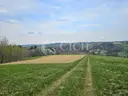 dazu-twoja-wlasna-czesc-natury-majatek-ktorego-nie-da-sie-dodrukowac-d0d0ad-zdjecie-5