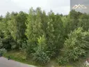 dazu-dzialka-w-wz-i-prywatnym-lasem-50c3a2-zdjecie-8