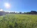 dazu-dzialka-w-pieknej-siemianowce-434fab-zdjecie-5