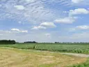 dazu-atrakcyjna-dzialka-budowlana-10-km-do-wroclawia-74c717-zdjecie-2
