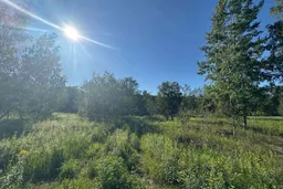 dazu-dzialka-budowlana-916-m2-lomianki-w-sasiedztwie-puszczy-kampinoskiej-ff6661