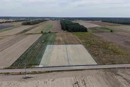 dazu-miedzno-ul-konopnickiej-dzialki-na-sprzedaz-6ce59a