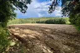 dazu-dzialki-budowlane-blisko-tuchowa-535724