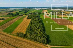 dazu-prywatna-oaza-zieleni-w-zelgoszczy-755f0e