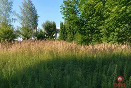 dazu-dzialka-budowlana-1200m2-z-wz-narozna-b3334f