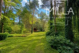 dazu-lesne-siedlisko-z-domkiem-2361m2-gmina-zgierz-2d3679