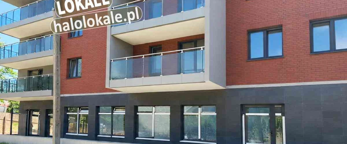 dazu-nowe-lokale-do-wynajecia-4c4951