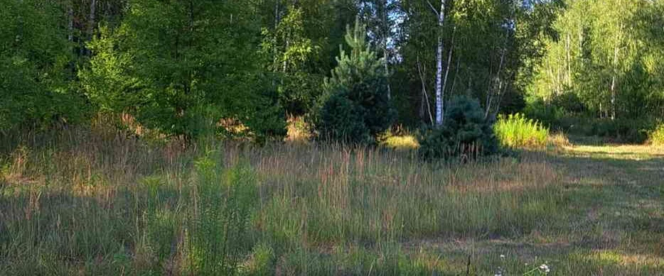 dazu-atrakcyjna-dzialka-budowlana-f4676d