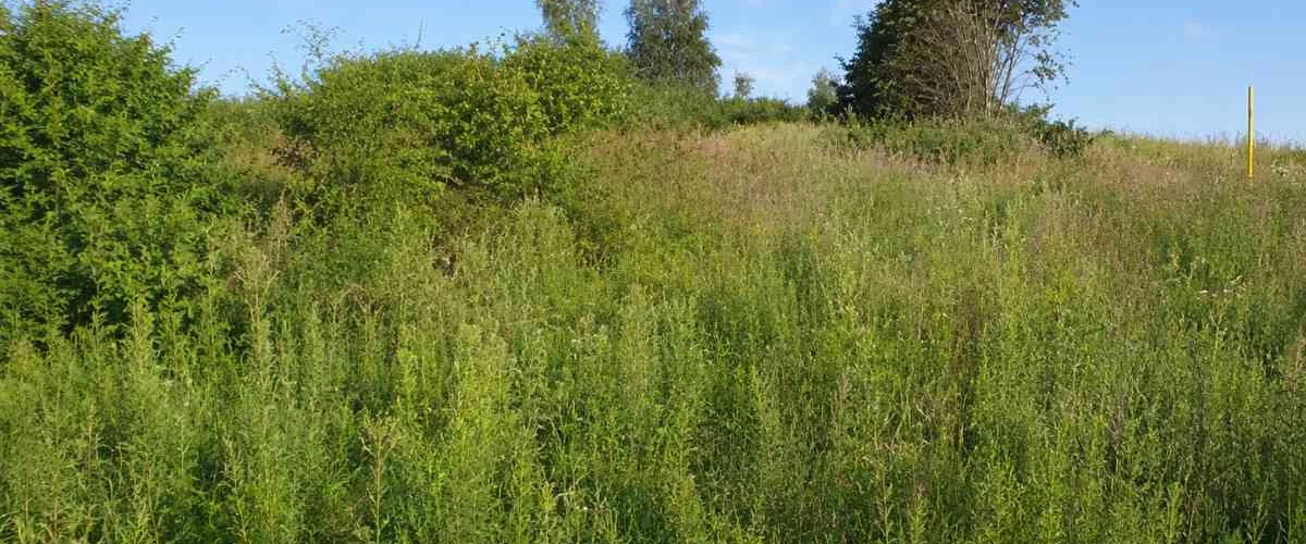 dazu-dzialka-budowlana-1530m2-z-wz-b35bc7