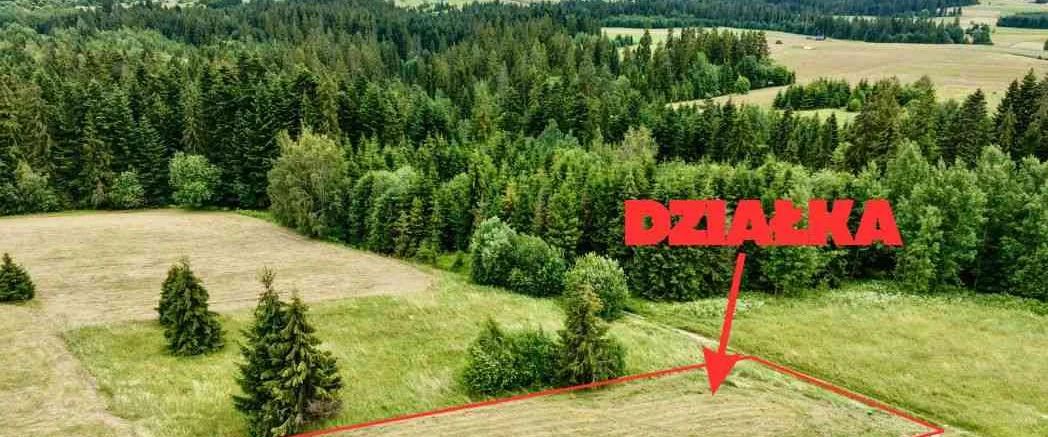 dazu-widok-na-tatry-mpzpbudowlananaslonecznionalas-4643da