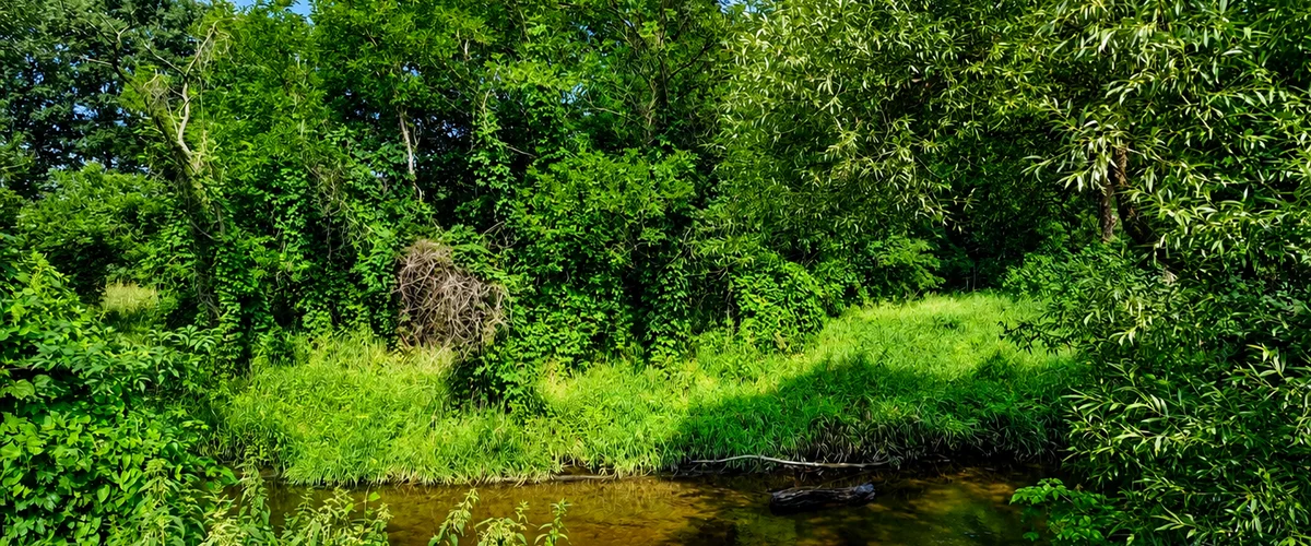dazu-dom-na-sprzedaz-bierawa-ogrodowa-6a9b21