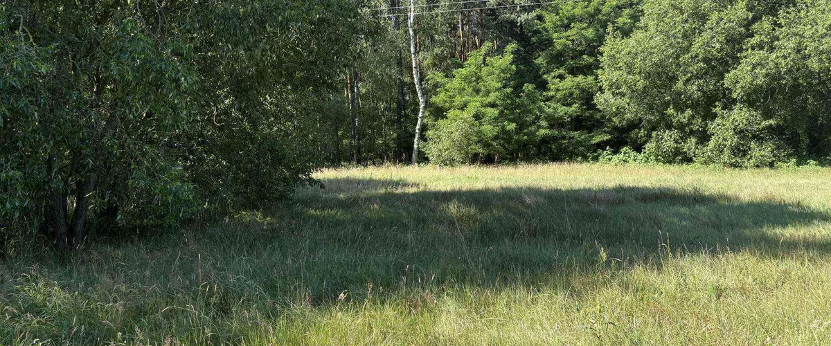 dazu-malownicze-siedlisko-blisko-szamotul-55078f