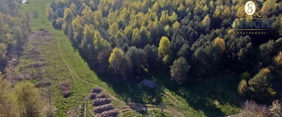 dazu-dzialki-na-sprzedaz-somonino-f5ea1c