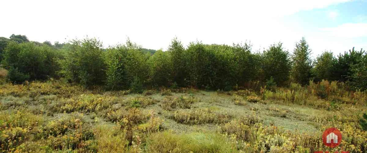 dazu-dzialka-z-wz-w-wyjatkowo-atrakcyjnej-lokalizacji-7a33c0