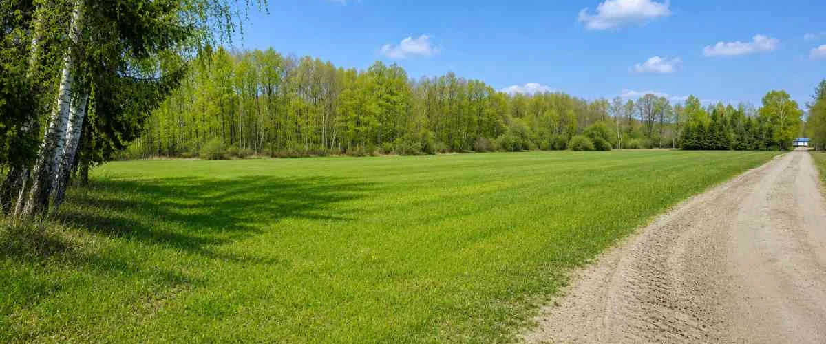 dazu-dzialka-rolno-budowlana-25-ha-nowosiolki-1f0519