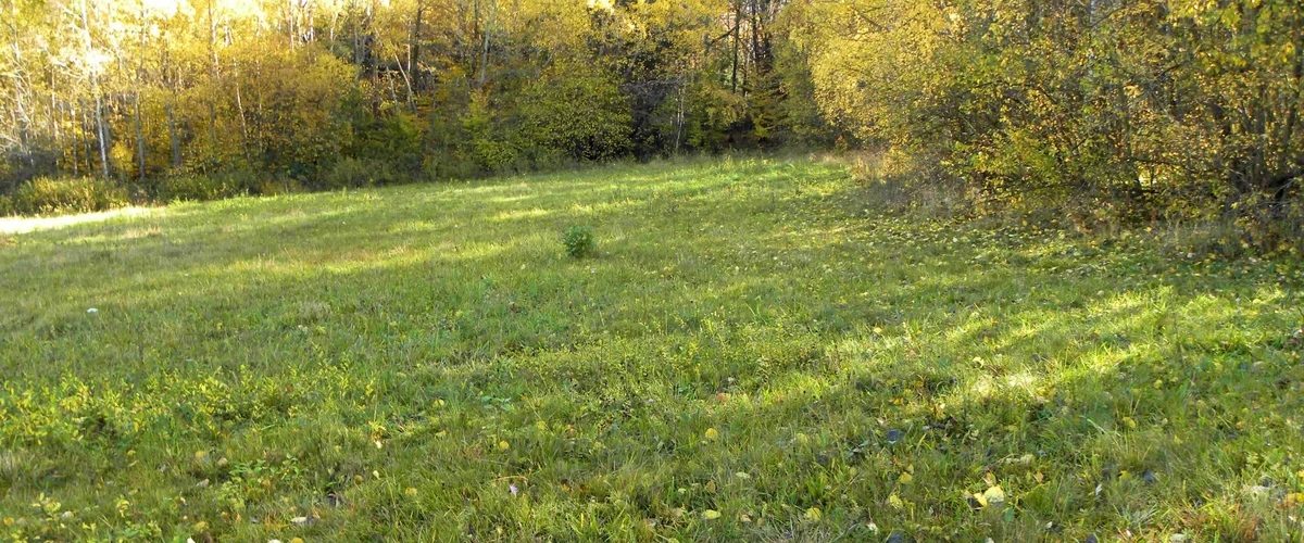 dazu-rozdziele-dzialka-rolna-158-ha-1071s-69ed33