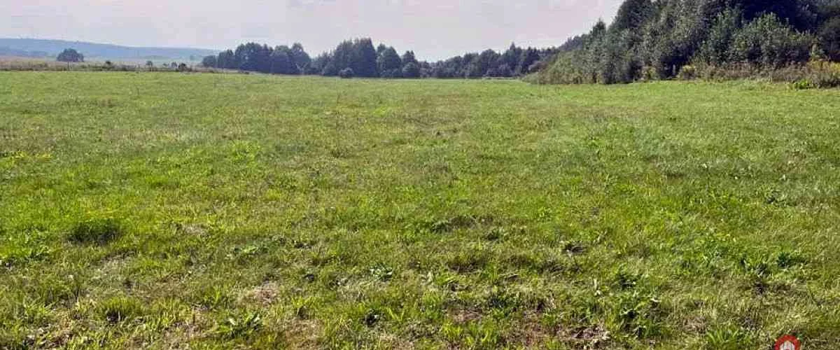 dazu-dzialka-rolno-budowlana-2533-m2-studzianki-c38331