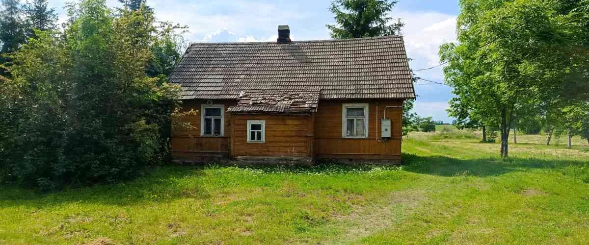dazu-siedlisko-kowale-las-46dd84