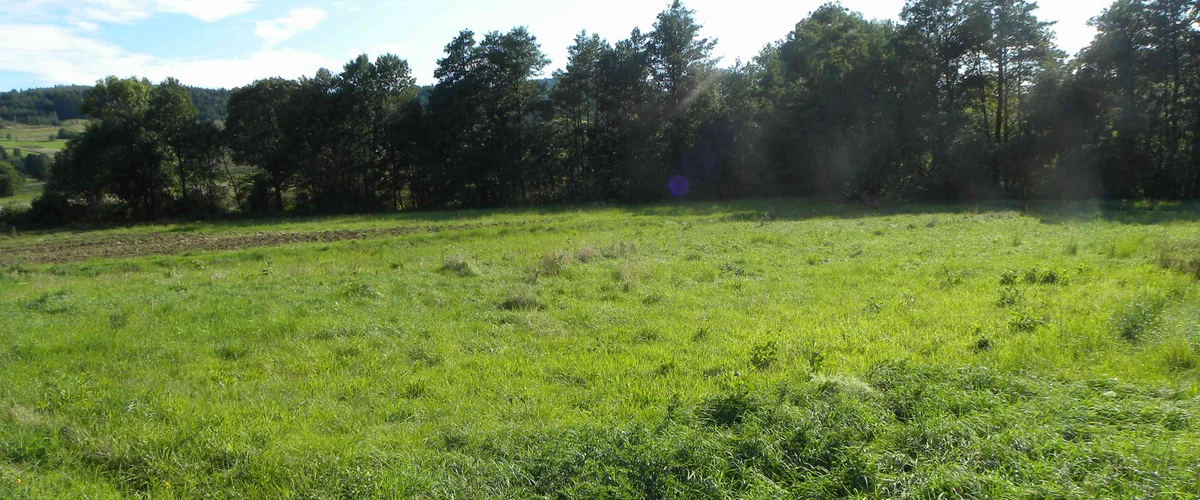 dazu-dzialka-budowlana-na-sprzedaz-kryg-b54542