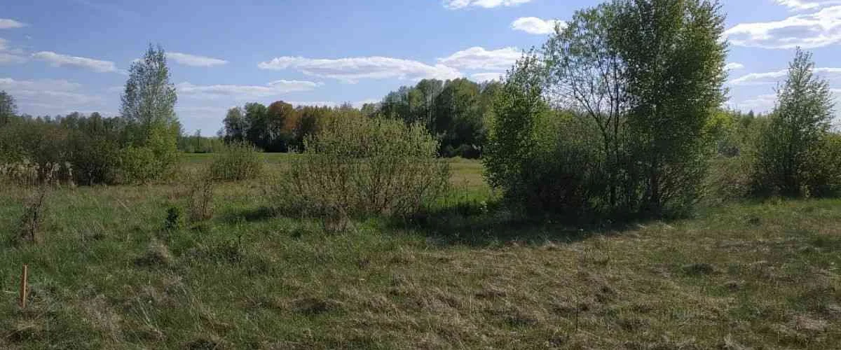 dazu-dzialka-inwestycyjna-w-poblizu-lasu-c1f605