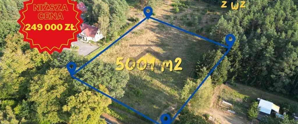 dazu-edytuj-tytul839-bcf1f5