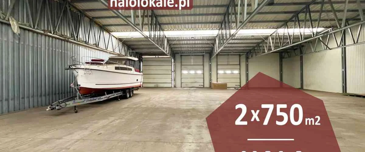 dazu-hala-produkcja-magazyn-26f5f9
