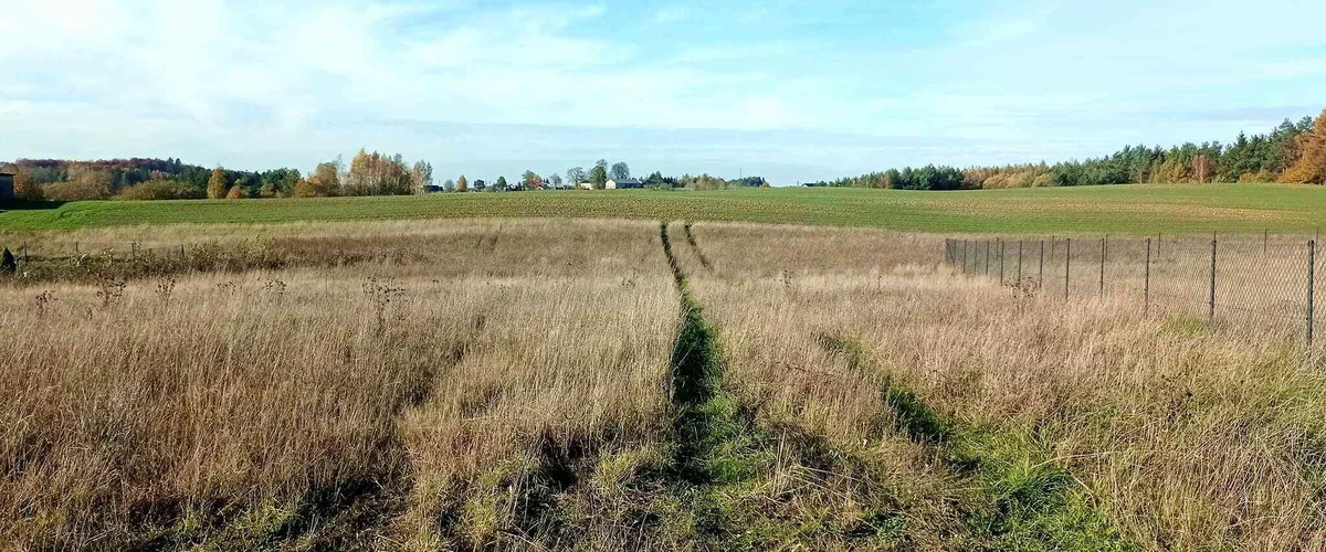 dazu-piekna-dzialka-300-m-od-jeziora-f7acd8