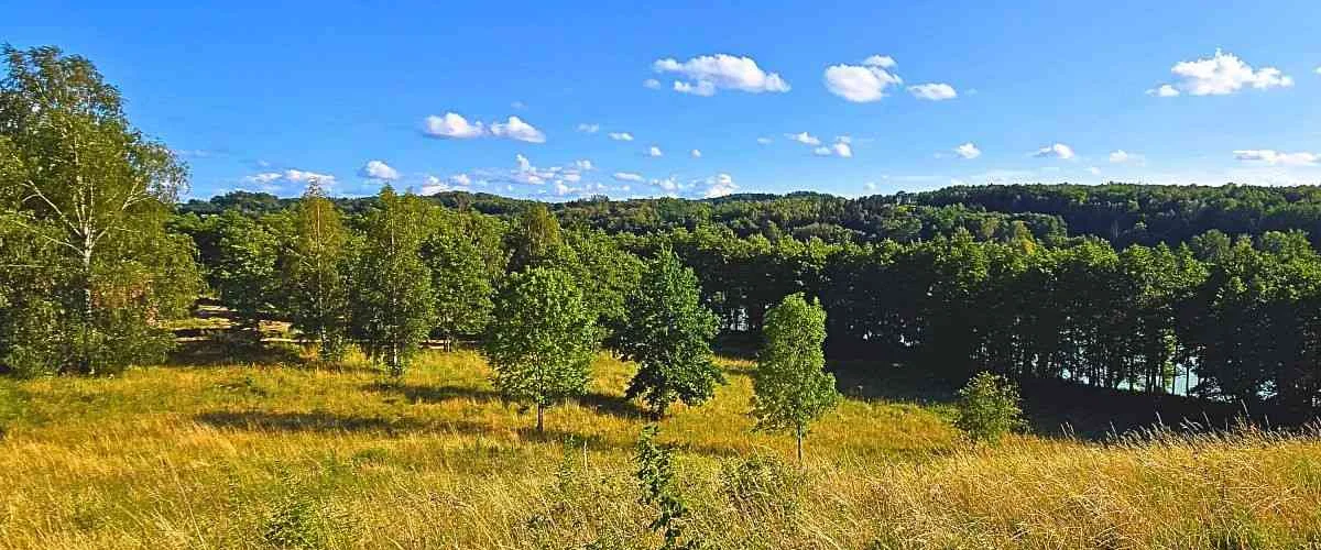 dazu-dzialka-budowlana-pod-uslugi-turystyczne-mazury-e3bfed