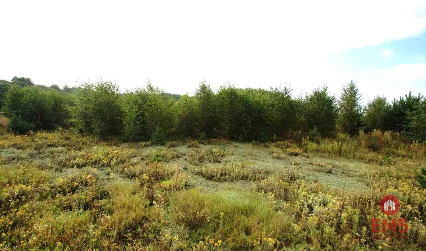 dazu-dzialka-z-wz-w-wyjatkowo-atrakcyjnej-lokalizacji-7a33c0