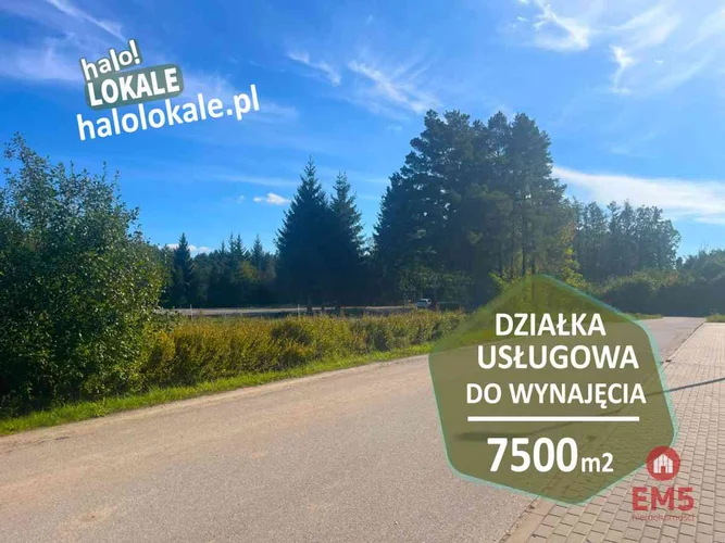 dazu-dzialka-do-wynajecia-w-swietnej-lokalizacji-e6daa9