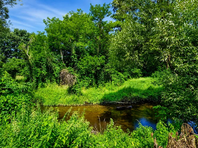 dazu-dom-na-sprzedaz-bierawa-ogrodowa-6a9b21