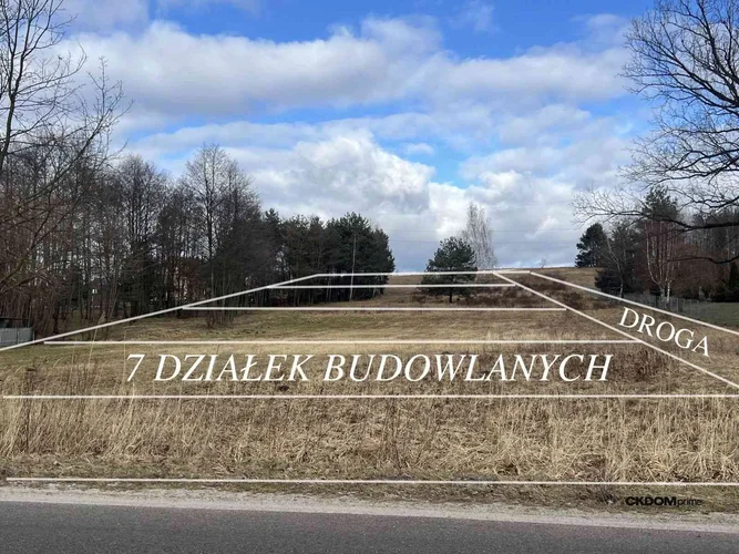 dazu-wyjatkowa-dzialka-na-sprzedaz-1-ha-w-rytwianach-cfe238