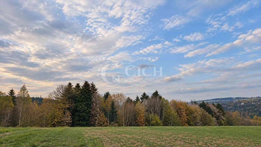 dazu-wyjatkowa-oferta-prywatny-las-81-arow-w-ostruszy-w-malopolsce-3552d5