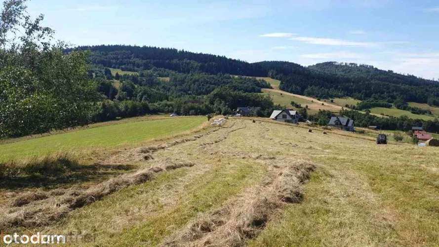 dazu-dzialka-w-gorach-sowich-73c564