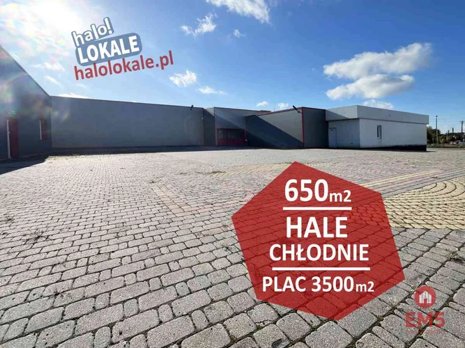 dazu-hala-magazyn-produkcja-plac-23848d