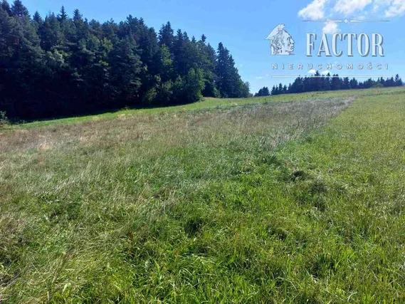 dazu-kaclowa-dzialka-siedliskowa-06-ha-1103s-853952